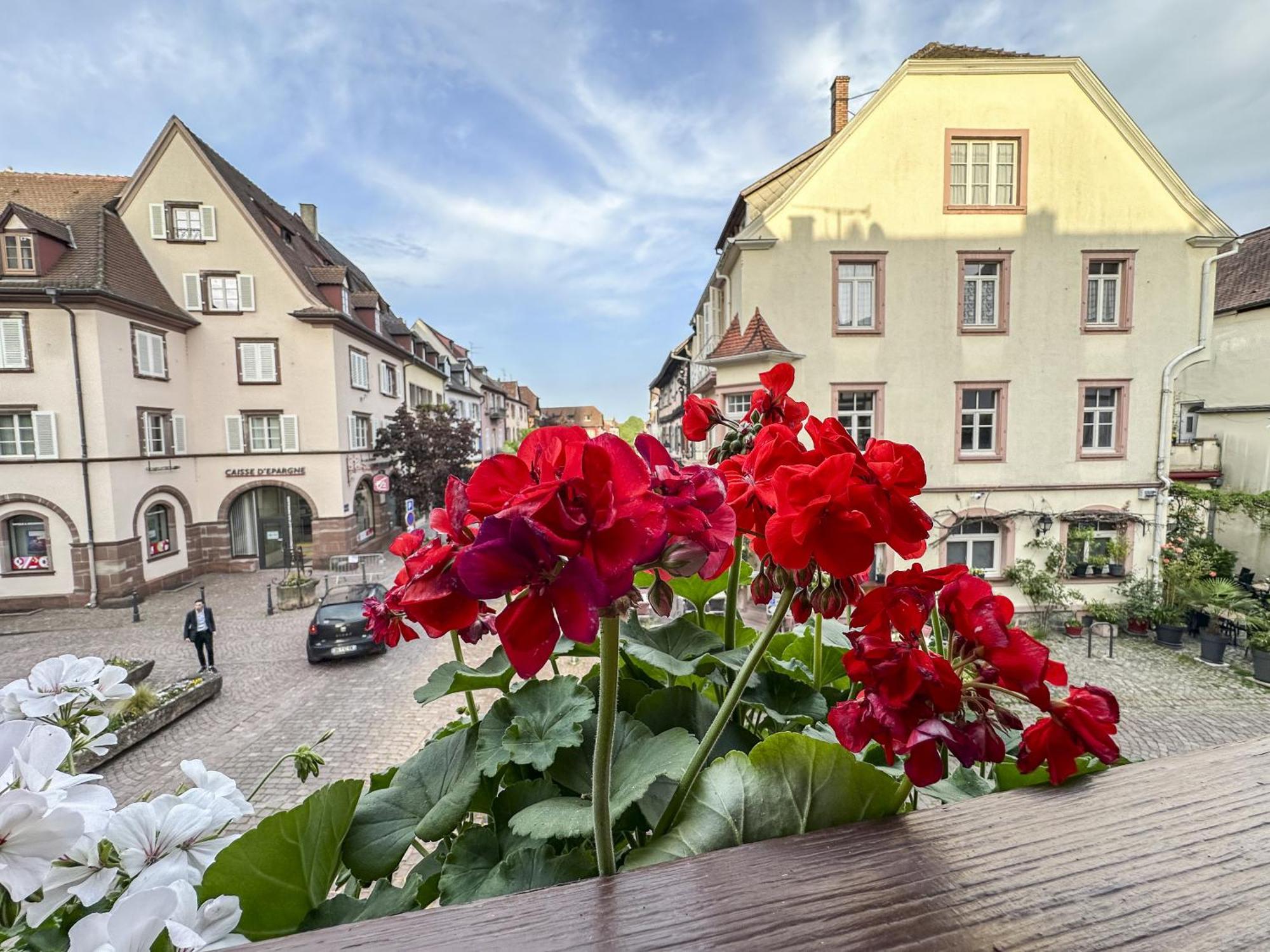 Origin'Alsace Lägenhet Kaysersberg-Vignoble Exteriör bild
