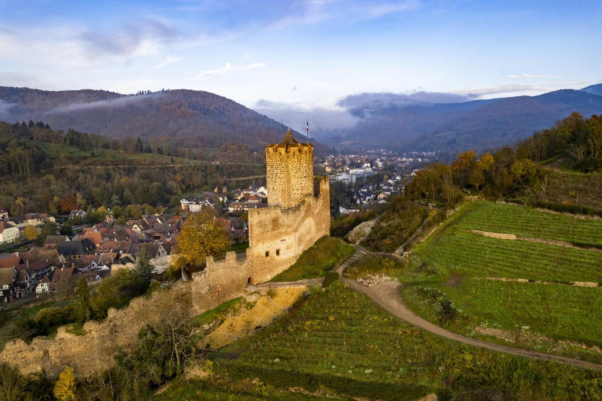 Origin'Alsace Lägenhet Kaysersberg-Vignoble Exteriör bild